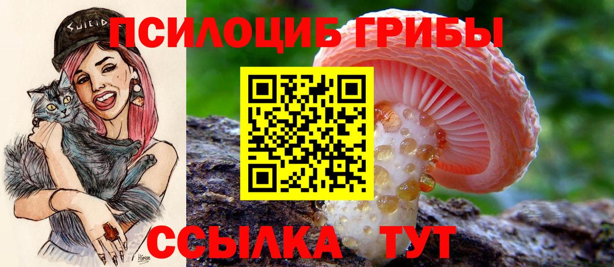 Псилоцибиновые грибы мухоморы Сарапул