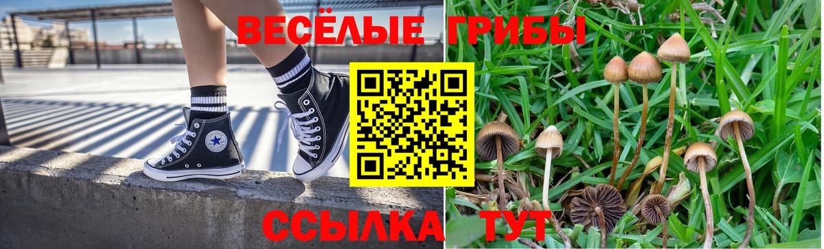 Галлюциногенные грибы мицелий  Вход с VPN  сколько стоит  Галлюциногенные грибы Magic Shrooms  Сарапул 